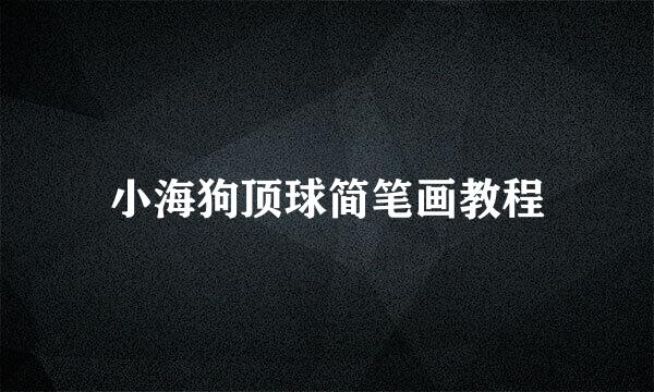 小海狗顶球简笔画教程