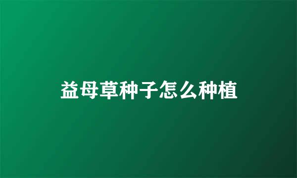益母草种子怎么种植