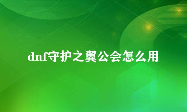 dnf守护之翼公会怎么用