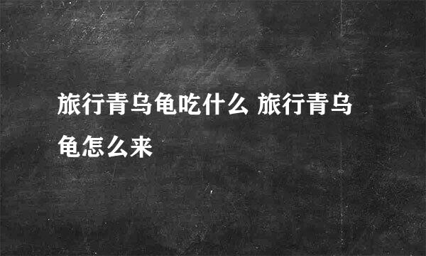 旅行青乌龟吃什么 旅行青乌龟怎么来