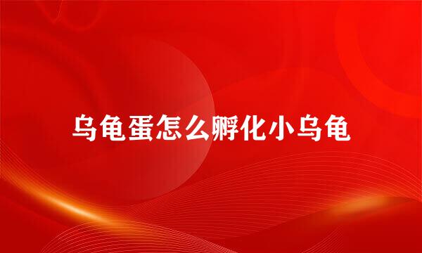 乌龟蛋怎么孵化小乌龟