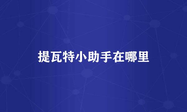 提瓦特小助手在哪里
