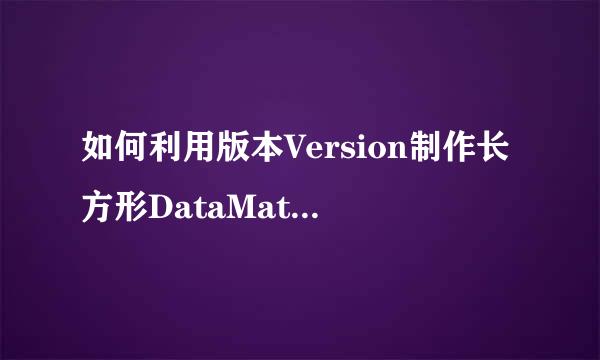 如何利用版本Version制作长方形DataMatrix码