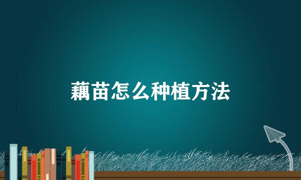 藕苗怎么种植方法