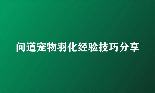 问道宠物羽化经验技巧分享