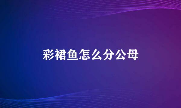 彩裙鱼怎么分公母