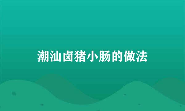 潮汕卤猪小肠的做法