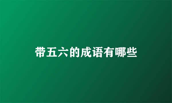 带五六的成语有哪些