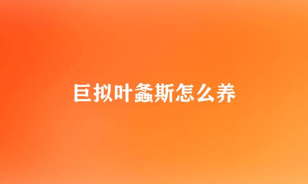 巨拟叶螽斯怎么养