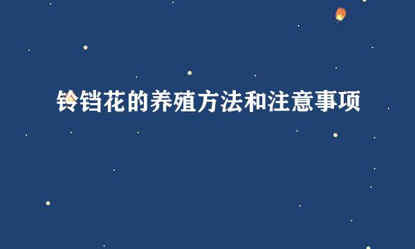 铃铛花的养殖方法和注意事项