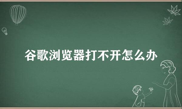 谷歌浏览器打不开怎么办