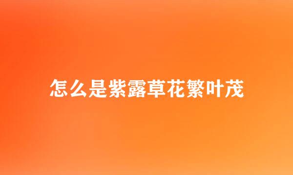 怎么是紫露草花繁叶茂