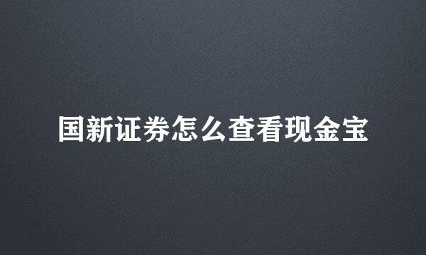 国新证券怎么查看现金宝