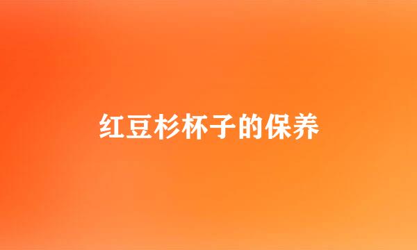 红豆杉杯子的保养