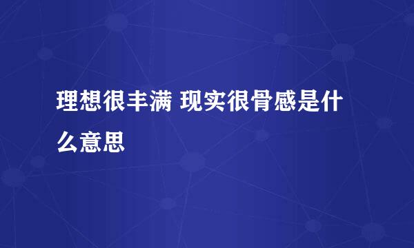 理想很丰满 现实很骨感是什么意思