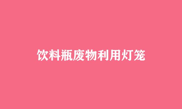 饮料瓶废物利用灯笼
