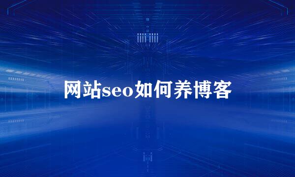 网站seo如何养博客