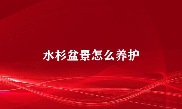 水杉盆景怎么养护