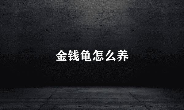 金钱龟怎么养