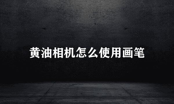黄油相机怎么使用画笔