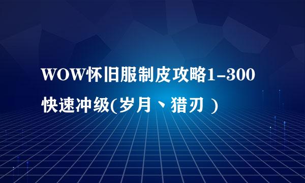 WOW怀旧服制皮攻略1-300快速冲级(岁月丶猎刃 )