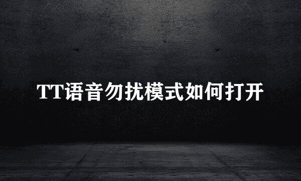 TT语音勿扰模式如何打开