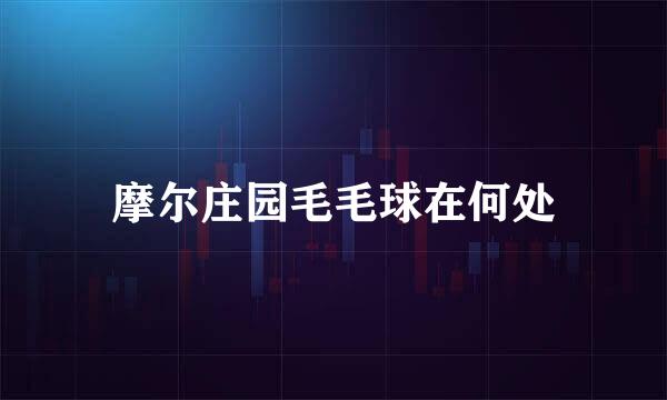 摩尔庄园毛毛球在何处