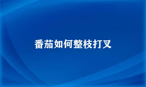 番茄如何整枝打叉