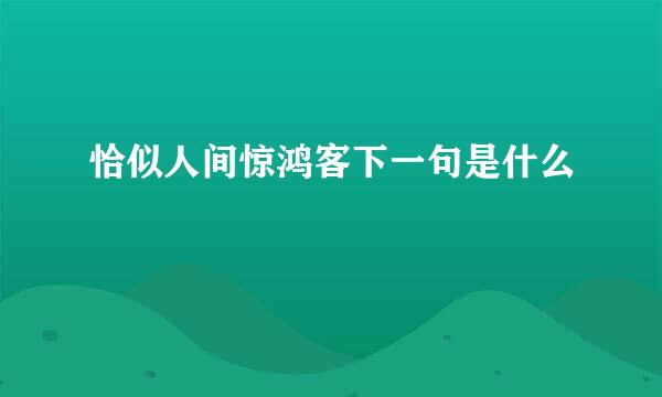 恰似人间惊鸿客下一句是什么