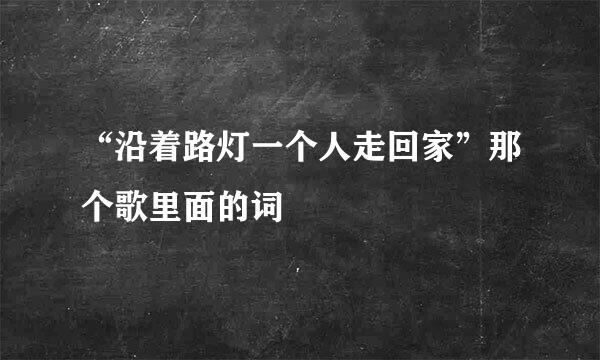 “沿着路灯一个人走回家”那个歌里面的词