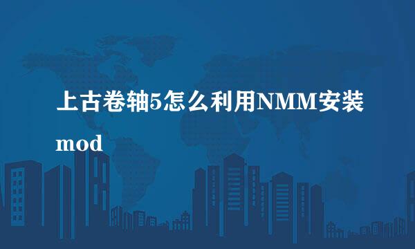 上古卷轴5怎么利用NMM安装mod