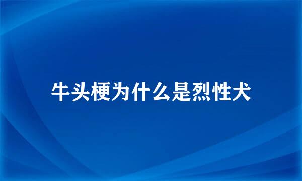 牛头梗为什么是烈性犬