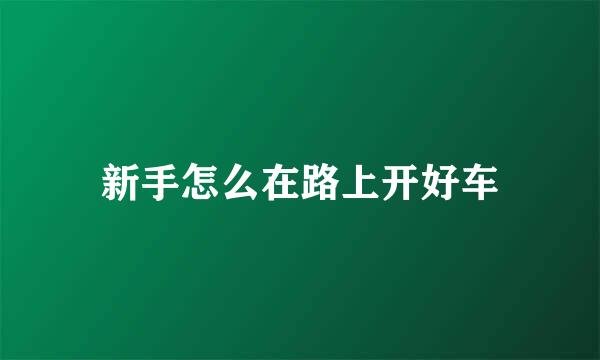 新手怎么在路上开好车