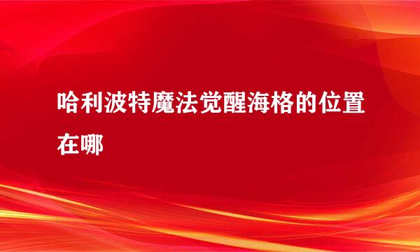 哈利波特魔法觉醒海格的位置在哪