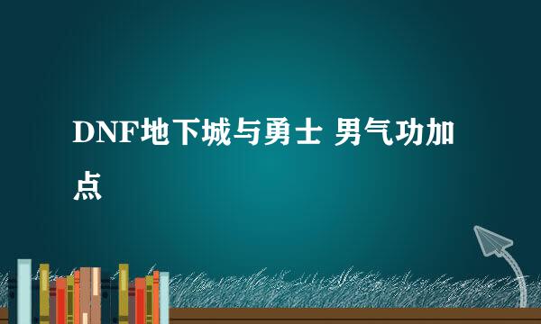 DNF地下城与勇士 男气功加点