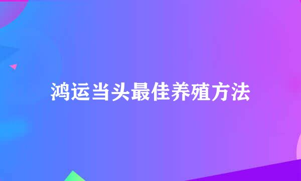 鸿运当头最佳养殖方法