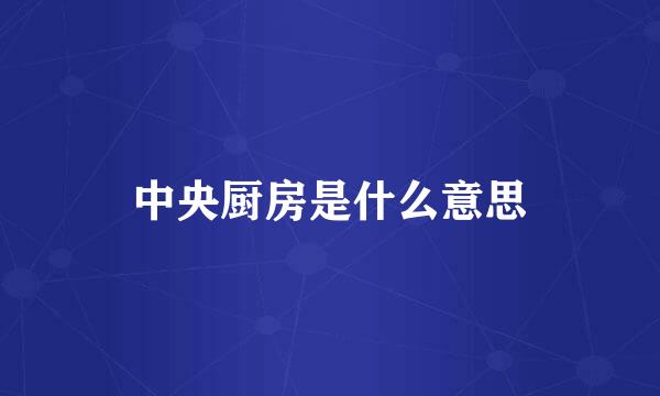 中央厨房是什么意思