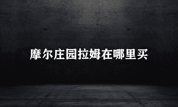 摩尔庄园拉姆在哪里买