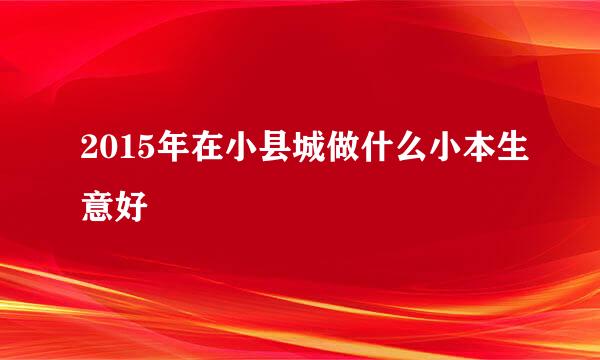 2015年在小县城做什么小本生意好