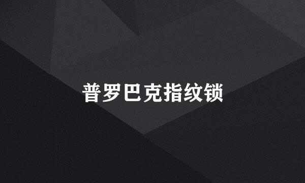 普罗巴克指纹锁