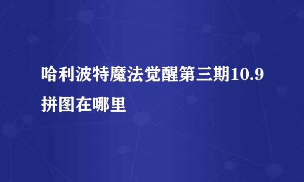 哈利波特魔法觉醒第三期10.9拼图在哪里