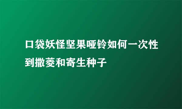 口袋妖怪坚果哑铃如何一次性到撒菱和寄生种子