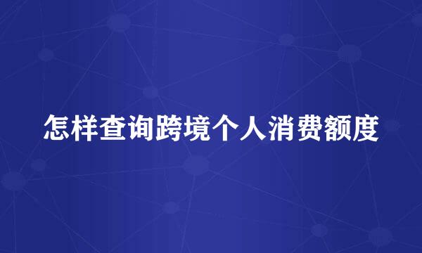 怎样查询跨境个人消费额度