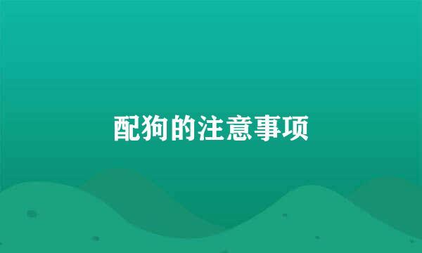 配狗的注意事项