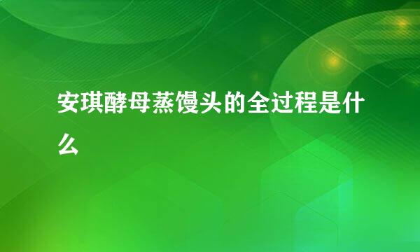 安琪酵母蒸馒头的全过程是什么
