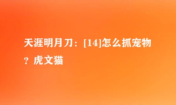 天涯明月刀：[14]怎么抓宠物？虎文猫