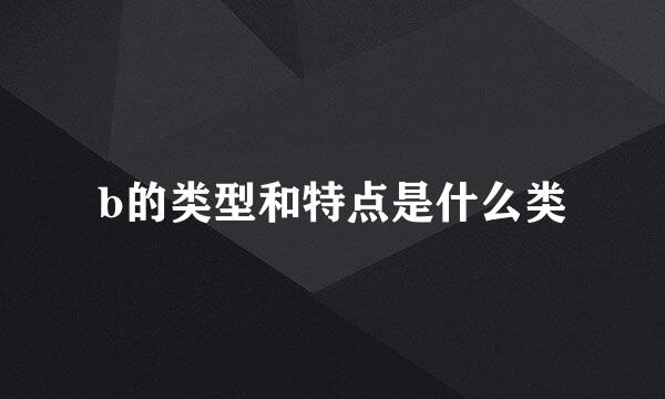 b的类型和特点是什么类