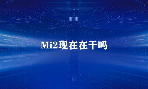 Mi2现在在干吗