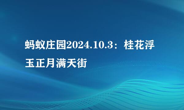 蚂蚁庄园2024.10.3：桂花浮玉正月满天街