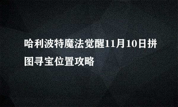 哈利波特魔法觉醒11月10日拼图寻宝位置攻略
